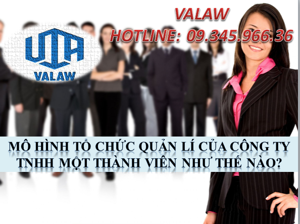 MÔ HÌNH TỔ CHỨC QUẢN LÍ CỦA CÔNG TY TNHH MỘT THÀNH VIÊN NHƯ THẾ NÀO?
